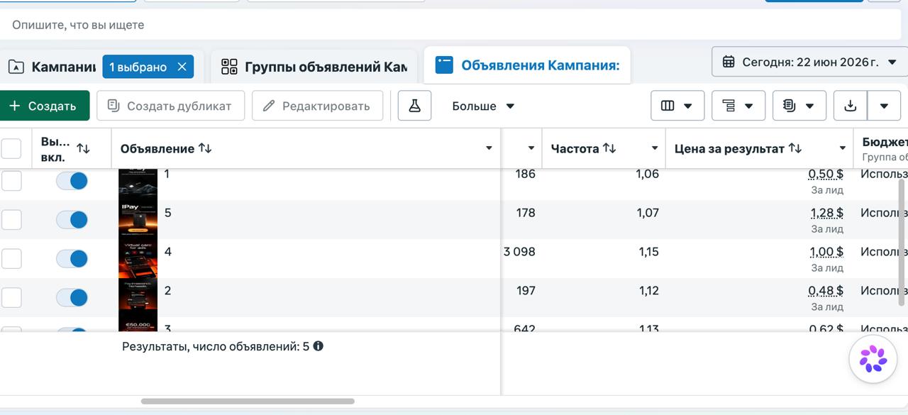Meta Ads account screenshot